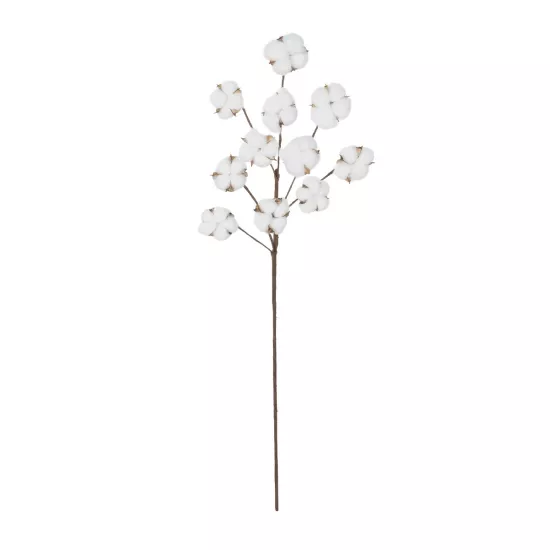 Artificial Garden COTTON BRANCH 20569 Τεχνητό Διακοσμητικό Κλαδί Βαμβάκι Μ30 x Π6 x Υ80 cm Artificial Garden COTTON BRANCH 20569 Τεχνητό Διακοσμητικό Κλαδί Βαμβάκι Μ30 x Π6 x Υ80 cm