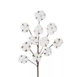 Artificial Garden COTTON BRANCH 20569 Τεχνητό Διακοσμητικό Κλαδί Βαμβάκι Μ30 x Π6 x Υ80 cm