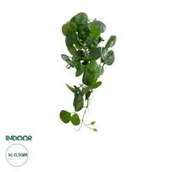 Artificial Garden HANGING PEPEROMIA 20599 Τεχνητό Διακοσμητικό Κρεμαστό Φυτό Πεπερόμια Μ30 x Π31 x Υ50cm