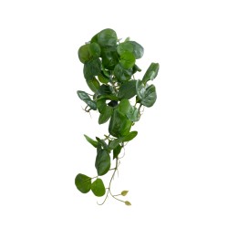 Artificial Garden HANGING PEPEROMIA 20599 Τεχνητό Διακοσμητικό Κρεμαστό Φυτό Πεπερόμια Μ30 x Π31 x Υ50cm