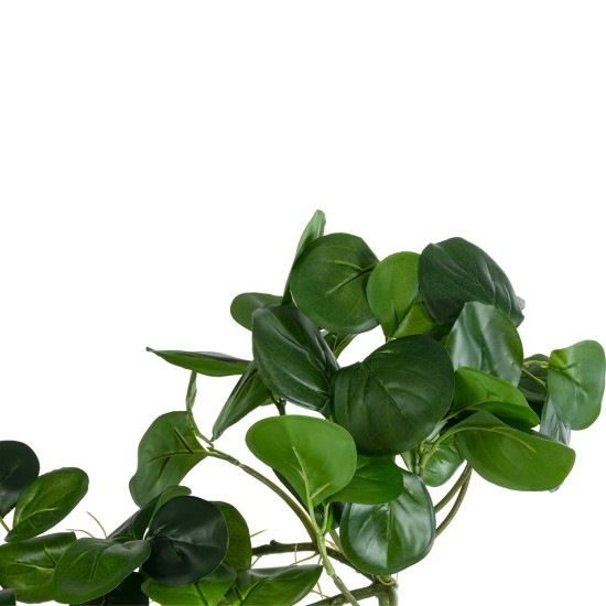 Artificial Garden HANGING PEPEROMIA 20599 Τεχνητό Διακοσμητικό Κρεμαστό Φυτό Πεπερόμια Μ30 x Π31 x Υ50cm