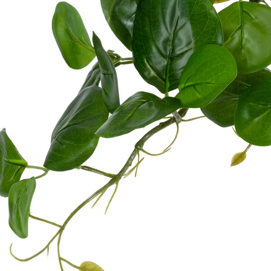 Artificial Garden HANGING PEPEROMIA 20599 Τεχνητό Διακοσμητικό Κρεμαστό Φυτό Πεπερόμια Μ30 x Π31 x Υ50cm