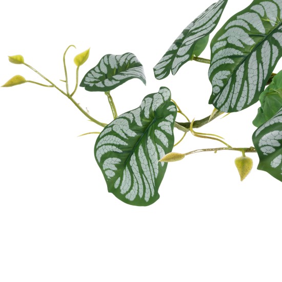 Artificial Garden HANGING ALOCASIA 20601 Τεχνητό Διακοσμητικό Κρεμαστό Φυτό Αλοκάσια Μ28 x Π27 x Υ50cm