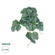 Artificial Garden PEPEROMIA HANGING PLANT 20603 Τεχνητό Διακοσμητικό Κρεμαστό Φυτό Πεπερόμια Υ45cm