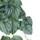 Artificial Garden PEPEROMIA HANGING PLANT 20603 Τεχνητό Διακοσμητικό Κρεμαστό Φυτό Πεπερόμια Υ45cm