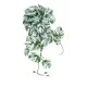 Artificial Garden ALBINO MONSTERA HANGING PLANT 20606 - Τεχνητό Διακοσμητικό Κρεμαστό Φυτό Μονστέρα Υ45cm Artificial Garden ALBINO MONSTERA HANGING PLANT 20606 - Τεχνητό Διακοσμητικό Κρεμαστό Φυτό Μονστέρα Υ45cm