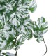 Artificial Garden ALBINO MONSTERA HANGING PLANT 20606 - Τεχνητό Διακοσμητικό Κρεμαστό Φυτό Μονστέρα Υ45cm