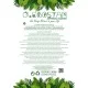 Artificial Garden ALBINO MONSTERA HANGING PLANT 20606 - Τεχνητό Διακοσμητικό Κρεμαστό Φυτό Μονστέρα Υ45cm Artificial Garden ALBINO MONSTERA HANGING PLANT 20606 - Τεχνητό Διακοσμητικό Κρεμαστό Φυτό Μονστέρα Υ45cm