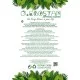 Artificial Garden ALBINO MONSTERA HANGING PLANT 20606 - Τεχνητό Διακοσμητικό Κρεμαστό Φυτό Μονστέρα Υ45cm Artificial Garden ALBINO MONSTERA HANGING PLANT 20606 - Τεχνητό Διακοσμητικό Κρεμαστό Φυτό Μονστέρα Υ45cm