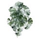 Artificial Garden ALBINO MONSTERA HANGING PLANT 20609 - Τεχνητό Διακοσμητικό Κρεμαστό Φυτό Μονστέρα Υ45cm