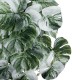 Artificial Garden ALBINO MONSTERA HANGING PLANT 20609 - Τεχνητό Διακοσμητικό Κρεμαστό Φυτό Μονστέρα Υ45cm