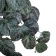 Artificial Garden BEGONIA HANGING PLANT 20610 Τεχνητό Διακοσμητικό Κρεμαστό Φυτό Βιγόνια Υ45cm