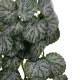 Artificial Garden BEGONIA 20611 Τεχνητό Κρεμαστό Διακοσμητικό Φυτό Βιγόνια Μ30 x Π15 x Y45cm