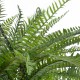 Artificial Garden FERN HANGING PLANT 20624 Τεχνητό Κρεμαστό Διακοσμητικό Φυτό Φτέρης Y45cm