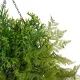 Artificial Garden BOUQUET VARIOUS HANGING PLANT 20625 Τεχνητό Κρεμαστό Διακοσμητικό Φυτό Μιξ Μ75 x Π75 x Y100cm