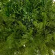 Artificial Garden BOUQUET VARIOUS HANGING PLANT 20625 Τεχνητό Κρεμαστό Διακοσμητικό Φυτό Μιξ Μ75 x Π75 x Y100cm