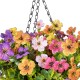 Artificial Garden GERBERA HANGING PLANT 20635 Τεχνητό Κρεμαστό Διακοσμητικό Φυτό Ζέρμπερας Y55cm