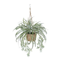 Artificial Garden CHLOROPHYTUM COMOSUM HANGING PLANT 20638 Τεχνητό Κρεμαστό Διακοσμητικό Χλωρόφυτο  Y50cm