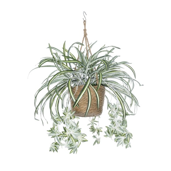 Artificial Garden CHLOROPHYTUM COMOSUM HANGING PLANT 20638 Τεχνητό Κρεμαστό Διακοσμητικό Χλωρόφυτο  Y50cm