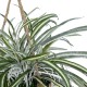 Artificial Garden CHLOROPHYTUM COMOSUM HANGING PLANT 20638 Τεχνητό Κρεμαστό Διακοσμητικό Χλωρόφυτο  Y50cm