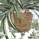 Artificial Garden CHLOROPHYTUM COMOSUM HANGING PLANT 20638 Τεχνητό Κρεμαστό Διακοσμητικό Χλωρόφυτο  Y50cm