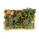 Artificial Garden VARIOUS PLANT 20642 Τεχνητό Διακοσμητικό Φυλλωσιάς σε Ξύλινο Πάνελ - Κάθετος Κήπος Μιξ Μ60 x Π40 x Υ20cm Artificial Garden VARIOUS PLANT 20642 Τεχνητό Διακοσμητικό Φυλλωσιάς σε Ξύλινο Πάνελ - Κάθετος Κήπος Μιξ Μ60 x Π40 x Υ20cm