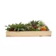 Artificial Garden VARIOUS PLANT 20642 Τεχνητό Διακοσμητικό Φυλλωσιάς σε Ξύλινο Πάνελ - Κάθετος Κήπος Μιξ Μ60 x Π40 x Υ20cm Artificial Garden VARIOUS PLANT 20642 Τεχνητό Διακοσμητικό Φυλλωσιάς σε Ξύλινο Πάνελ - Κάθετος Κήπος Μιξ Μ60 x Π40 x Υ20cm