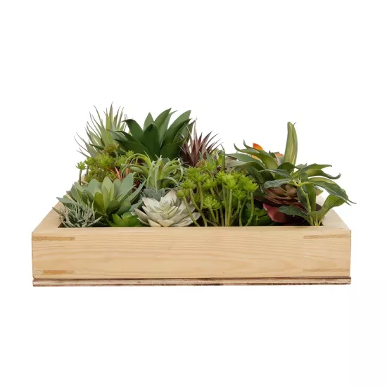 Artificial Garden VARIOUS PLANT 20642 Τεχνητό Διακοσμητικό Φυλλωσιάς σε Ξύλινο Πάνελ - Κάθετος Κήπος Μιξ Μ60 x Π40 x Υ20cm Artificial Garden VARIOUS PLANT 20642 Τεχνητό Διακοσμητικό Φυλλωσιάς σε Ξύλινο Πάνελ - Κάθετος Κήπος Μιξ Μ60 x Π40 x Υ20cm