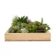 Artificial Garden VARIOUS PLANT 20642 Τεχνητό Διακοσμητικό Φυλλωσιάς σε Ξύλινο Πάνελ - Κάθετος Κήπος Μιξ Μ60 x Π40 x Υ20cm Artificial Garden VARIOUS PLANT 20642 Τεχνητό Διακοσμητικό Φυλλωσιάς σε Ξύλινο Πάνελ - Κάθετος Κήπος Μιξ Μ60 x Π40 x Υ20cm