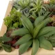 Artificial Garden VARIOUS PLANT 20642 Τεχνητό Διακοσμητικό Φυλλωσιάς σε Ξύλινο Πάνελ - Κάθετος Κήπος Μιξ Μ60 x Π40 x Υ20cm Artificial Garden VARIOUS PLANT 20642 Τεχνητό Διακοσμητικό Φυλλωσιάς σε Ξύλινο Πάνελ - Κάθετος Κήπος Μιξ Μ60 x Π40 x Υ20cm