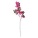 Artificial Garden BOUGAUVILLEA BRANCH 20643 Τεχνητό Διακοσμητικό Κλαδί Μπουκανβίλιας Φουξ Y80cm Artificial Garden BOUGAUVILLEA BRANCH 20643 Τεχνητό Διακοσμητικό Κλαδί Μπουκανβίλιας Φουξ Y80cm