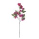 Artificial Garden BOUGAUVILLEA BRANCH 20644 Τεχνητό Διακοσμητικό Κλαδί Μπουκανβίλιας Φουξ Y80cm Artificial Garden BOUGAUVILLEA BRANCH 20644 Τεχνητό Διακοσμητικό Κλαδί Μπουκανβίλιας Φουξ Y80cm