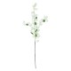 Artificial Garden BOUGAUVILLEA BRANCH 20651 Τεχνητό Διακοσμητικό Κλαδί Μπουκανβίλιας Λευκή Y115cm Artificial Garden BOUGAUVILLEA BRANCH 20651 Τεχνητό Διακοσμητικό Κλαδί Μπουκανβίλιας Λευκή Y115cm