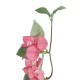 Artificial Garden BOUGANVILLEA BRANCH 20653 Τεχνητό Διακοσμητικό Κλαδί Βουκαμβίλιας Y79cm Artificial Garden BOUGANVILLEA BRANCH 20653 Τεχνητό Διακοσμητικό Κλαδί Βουκαμβίλιας Y79cm