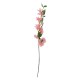Artificial Garden BOUGAUVILLEA BRANCH 20655 Τεχνητό Διακοσμητικό Κλαδί Μπουκανβίλιας Ροζ - Πορτοκαλί Y80cm Artificial Garden BOUGAUVILLEA BRANCH 20655 Τεχνητό Διακοσμητικό Κλαδί Μπουκανβίλιας Ροζ - Πορτοκαλί Y80cm