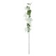 Artificial Garden BOUGAUVILLEA BRANCH 20657 Τεχνητό Διακοσμητικό Κλαδί Μπουκανβίλιας Λευκή Y80cm Artificial Garden BOUGAUVILLEA BRANCH 20657 Τεχνητό Διακοσμητικό Κλαδί Μπουκανβίλιας Λευκή Y80cm