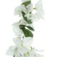 Artificial Garden BOUGAUVILLEA BRANCH 20657 Τεχνητό Διακοσμητικό Κλαδί Μπουκανβίλιας Λευκή Y80cm Artificial Garden BOUGAUVILLEA BRANCH 20657 Τεχνητό Διακοσμητικό Κλαδί Μπουκανβίλιας Λευκή Y80cm