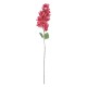 Artificial Garden BOUGAUVILLEA BRANCH 20658 Τεχνητό Διακοσμητικό Κλαδί Μπουκανβίλιας Φουξ Y80cm Artificial Garden BOUGAUVILLEA BRANCH 20658 Τεχνητό Διακοσμητικό Κλαδί Μπουκανβίλιας Φουξ Y80cm