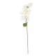 Artificial Garden BOUGAUVILLEA BRANCH 20659 Τεχνητό Διακοσμητικό Κλαδί Μπουκανβίλιας Λευκή Y80cm Artificial Garden BOUGAUVILLEA BRANCH 20659 Τεχνητό Διακοσμητικό Κλαδί Μπουκανβίλιας Λευκή Y80cm