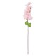 Artificial Garden BOUGAUVILLEA BRANCH 20660 Τεχνητό Διακοσμητικό Κλαδί Μπουκανβίλιας Ροζ - Πορτοκαλί Y80cm Artificial Garden BOUGAUVILLEA BRANCH 20660 Τεχνητό Διακοσμητικό Κλαδί Μπουκανβίλιας Ροζ - Πορτοκαλί Y80cm