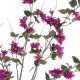 Artificial Garden BOUGAUVILLEA 20676 Τεχνητό Διακοσμητικό Φυτό με Ανθη Μπουκανβίλιας Φουξ Υ180cm