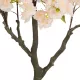 Artificial Garden SALMON CHERRY BLOSSOM TREE 20678 Τεχνητό Διακοσμητικό Δέντρο Απαλό Ροζ Άνθος Κερασιάς Υ160cm Artificial Garden SALMON CHERRY BLOSSOM TREE 20678 Τεχνητό Διακοσμητικό Δέντρο Απαλό Ροζ Άνθος Κερασιάς Υ160cm