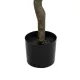 Artificial Garden SALMON CHERRY BLOSSOM TREE 20678 Τεχνητό Διακοσμητικό Δέντρο Απαλό Ροζ Άνθος Κερασιάς Υ160cm Artificial Garden SALMON CHERRY BLOSSOM TREE 20678 Τεχνητό Διακοσμητικό Δέντρο Απαλό Ροζ Άνθος Κερασιάς Υ160cm