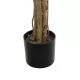 Artificial Garden WISTERIA PINK 20681 Τεχνητό Διακοσμητικό Δέντρο Ροζ Βιστερία Μ60 x Π60 x Υ180cm Artificial Garden WISTERIA PINK 20681 Τεχνητό Διακοσμητικό Δέντρο Ροζ Βιστερία Μ60 x Π60 x Υ180cm