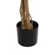 Artificial Garden WISTERIA PURPLE 20682 Τεχνητό Διακοσμητικό Δέντρο Μωβ Βιστερία Μ60 x Π60 x Υ180cm Artificial Garden WISTERIA PURPLE 20682 Τεχνητό Διακοσμητικό Δέντρο Μωβ Βιστερία Μ60 x Π60 x Υ180cm