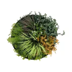 Artificial Garden VARIOUS PLANTS ROUND WALL DISC 20688 Τεχνητό Διακοσμητικό Στρογγυλό Πάνελ Φυλλωσιάς - Κάθετος Κήπος Μιξ Μ50 x Π50 x Υ23cm