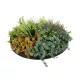Artificial Garden VARIOUS PLANTS ROUND WALL DISC 20688 Τεχνητό Διακοσμητικό Στρογγυλό Πάνελ Φυλλωσιάς - Κάθετος Κήπος Μιξ Μ50 x Π50 x Υ23cm Artificial Garden VARIOUS PLANTS ROUND WALL DISC 20688 Τεχνητό Διακοσμητικό Στρογγυλό Πάνελ Φυλλωσιάς - Κάθετος Κήπος Μιξ Μ50 x Π50 x Υ23cm