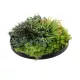 Artificial Garden VARIOUS PLANTS ROUND WALL DISC 20688 Τεχνητό Διακοσμητικό Στρογγυλό Πάνελ Φυλλωσιάς - Κάθετος Κήπος Μιξ Μ50 x Π50 x Υ23cm Artificial Garden VARIOUS PLANTS ROUND WALL DISC 20688 Τεχνητό Διακοσμητικό Στρογγυλό Πάνελ Φυλλωσιάς - Κάθετος Κήπος Μιξ Μ50 x Π50 x Υ23cm