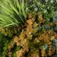 Artificial Garden VARIOUS PLANTS ROUND WALL DISC 20688 Τεχνητό Διακοσμητικό Στρογγυλό Πάνελ Φυλλωσιάς - Κάθετος Κήπος Μιξ Μ50 x Π50 x Υ23cm Artificial Garden VARIOUS PLANTS ROUND WALL DISC 20688 Τεχνητό Διακοσμητικό Στρογγυλό Πάνελ Φυλλωσιάς - Κάθετος Κήπος Μιξ Μ50 x Π50 x Υ23cm