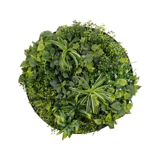Artificial Garden VARIOUS PLANTS ROUND WALL DISC 20689 Τεχνητό Διακοσμητικό Στρογγυλό Πάνελ Φυλλωσιάς - Κάθετος Κήπος Μιξ Μ70 x Π70 x Υ15cm Artificial Garden VARIOUS PLANTS ROUND WALL DISC 20689 Τεχνητό Διακοσμητικό Στρογγυλό Πάνελ Φυλλωσιάς - Κάθετος Κήπος Μιξ Μ70 x Π70 x Υ15cm